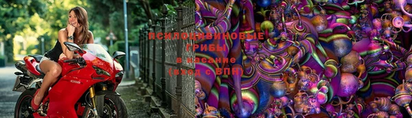 метадон Медвежьегорск