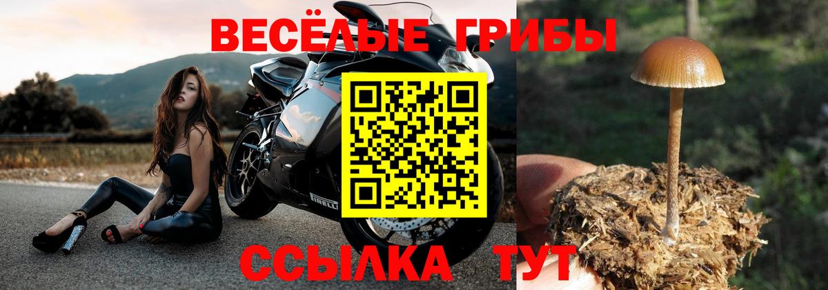 Псилоцибиновые грибы MAGIC MUSHROOMS  Пермь  закладки  Псилоцибиновые грибы мицелий 