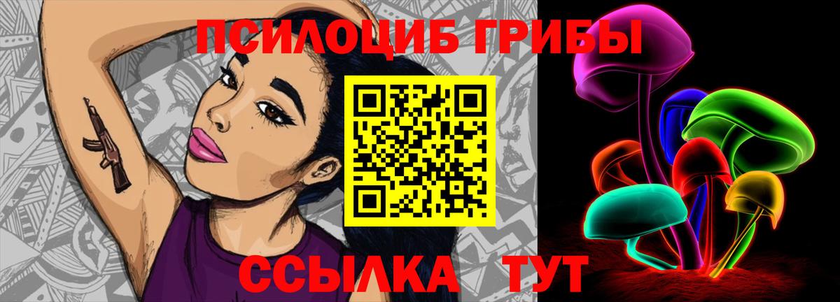 Псилоцибиновые грибы Cubensis Пермь